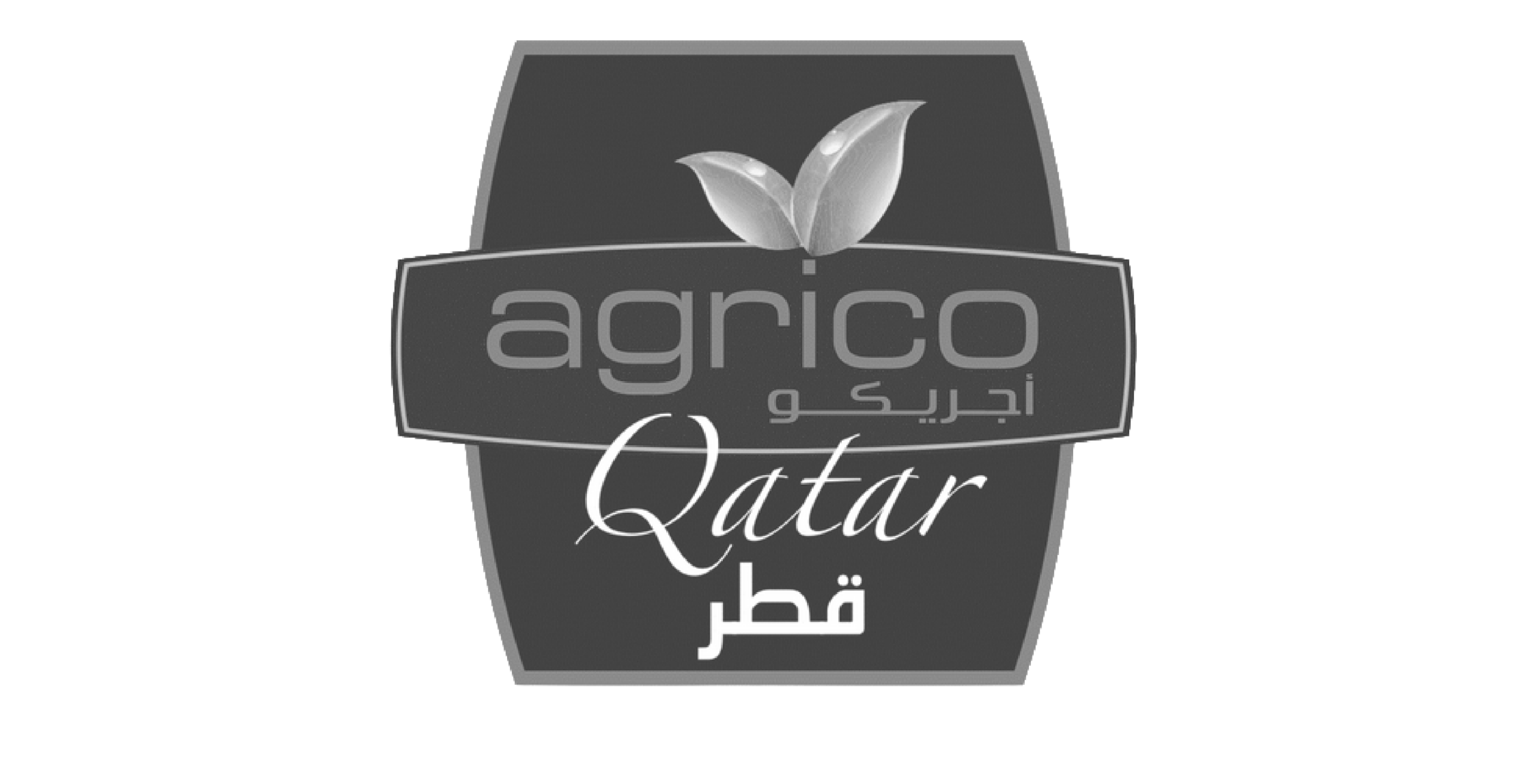 logoss media-06